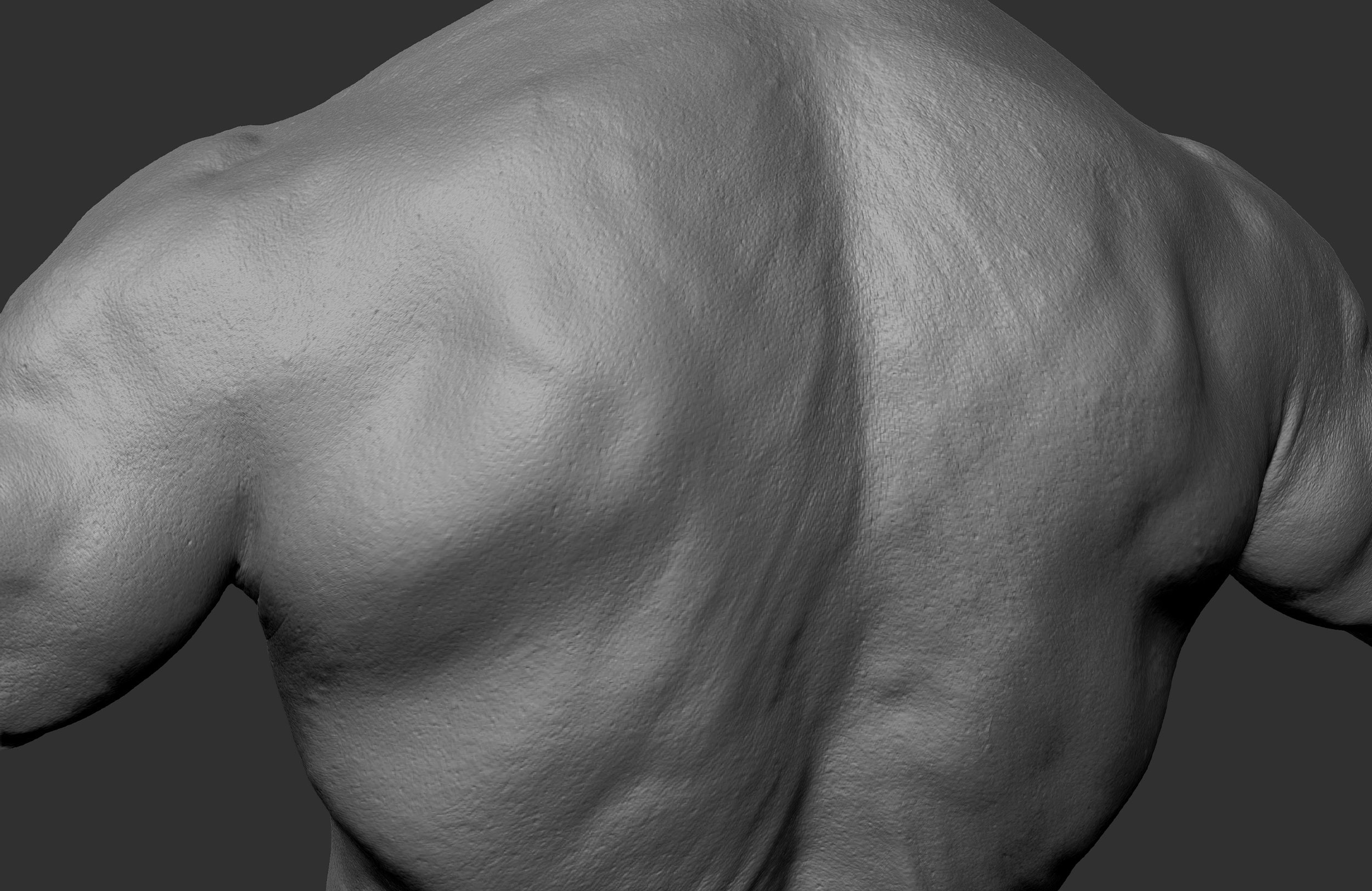 Muscular aged male back close up picture